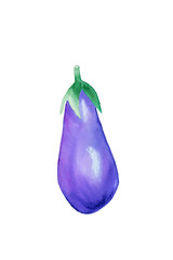Watercolor eggplant