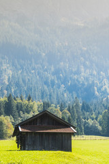 wooden hut near a forest