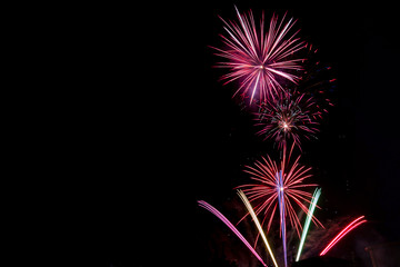 Pink Palm Tree Fireworks