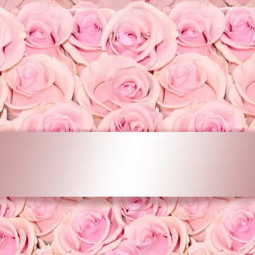 Beautiful floral background with amazing pink roses close up with a shiny silken ribbon and space for text as greeting card template  for marriage, birthday, anniversary or any  holidays and events