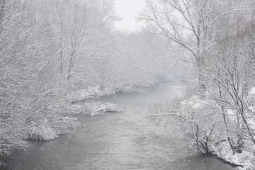 Winter river landscape. Snowy trees on river banks
