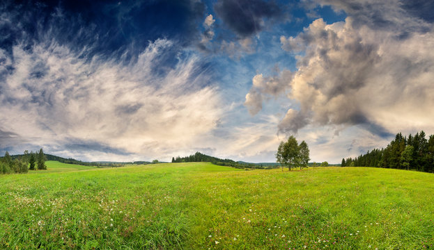 green fresh spring meadow - panoramic picture