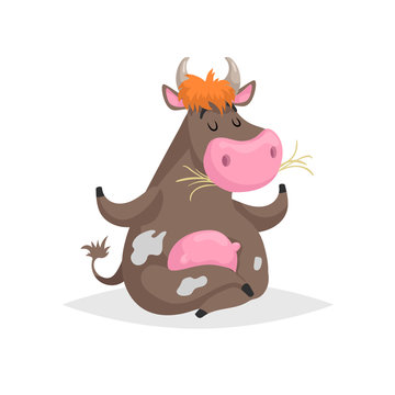 Cartoon brown spotted sitting in meditation pose cow. Farm funny animal chewing straw and relaxing. Isolated on white background. Flat trendy style. Vector illustration.
