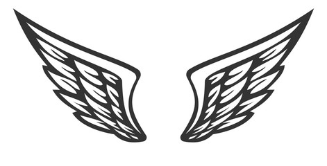 Vector hand drawn wings isolated on white background. Template for heraldry, tattoo, logo or other branding. Modern retro illustration.