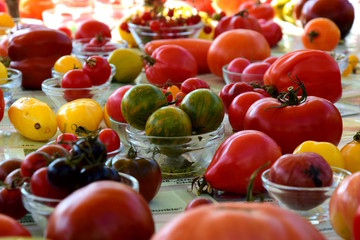 Viele verschiedene Tomatensorten