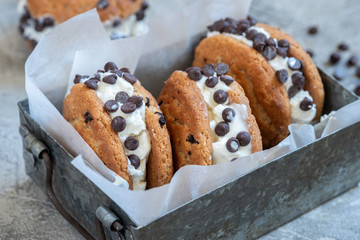 Chocolate Chip Ice Cream Cookie Sandwiches