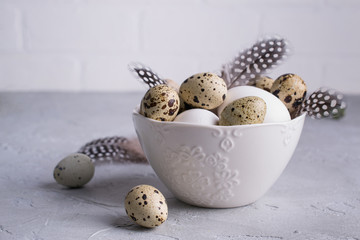 Easter spring decorative composition  with easter quail, chicken eggs and leaf sprigs of eucalyptus. On a gray concrete background with place for text.