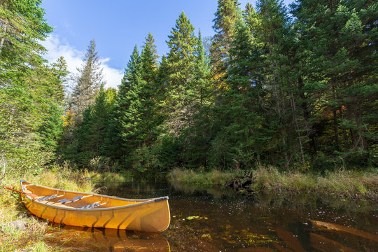 canot au bord de l'eau d'un lac en lisi&egrave;re de for&ecirc;t dans le parc Algonquin en Ontario au Canada