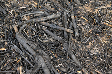 Straw ash
