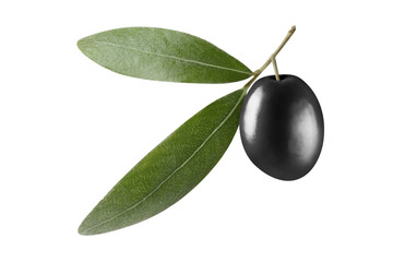 Single black olive with leaves, isolated on white background