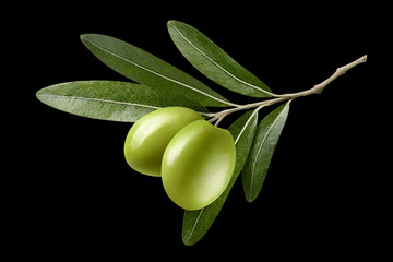 Olive branch with two green olives, isolated on black background