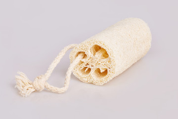 Natural sponge Luffa cylindricaon isolated on white background. Vegetable Luffa or zucchini sponge for body scrubbing on white background. - obrazy, fototapety, plakaty