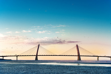 Fototapeta premium Cable-stayed bridge over the sea Bay