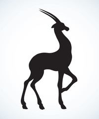 Obraz na płótnie Canvas Antelope. Vector drawing