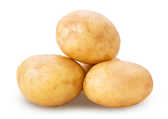 Heap of young potatoes