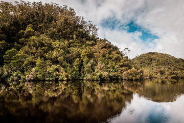 Natural reflections, mirror effect on the water in the beautiful wilderness of Tasmania, Gordon River near Strahan, Australia