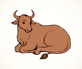 Vector contour illustration of lying cow with big horns