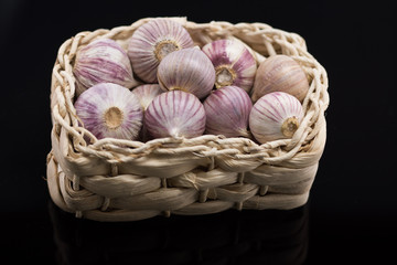 Studio shot of Garlic