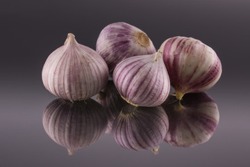 Studio shot of Garlic