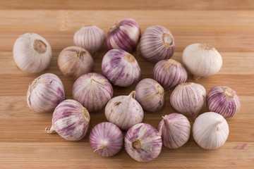 Studio shot of Garlic