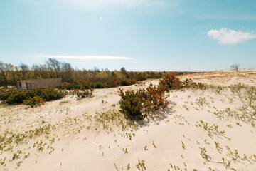 View of the sand dunes in hot weather on a summer sunny day, beautiful blue sky