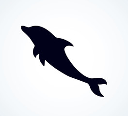 Dolphin. Vector drawing