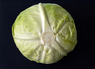 cabbage on dark background