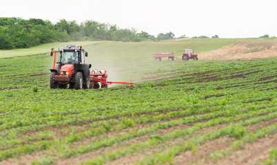 Obraz premium Farmer with tractor seeding soy crops at agricultural field