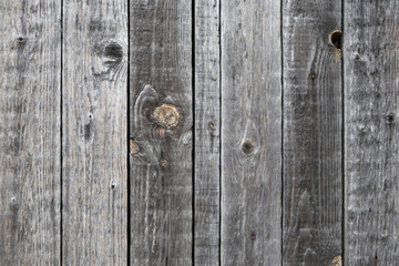 gray old wood background