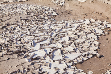 Sand quarry. Close up textures of sand dunes. Pure lake sand.  Old sand mining.