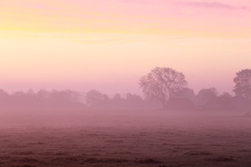 Fototapeta na wymiar dramatic purple foggy sunrise in countryside