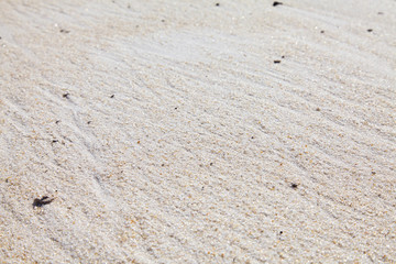 Sand quarry. Close up textures of sand dunes. Pure lake sand.  Old sand mining.