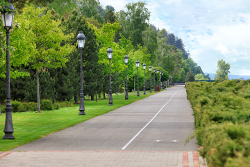 Straight asphalt road and bike path through the park with many beautiful vertical vintage lights