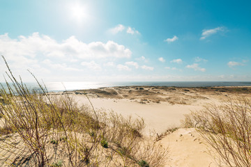 View of the sand dunes in hot weather on a summer sunny day, beautiful blue sky