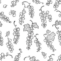 Seamless background of the drawn currant
