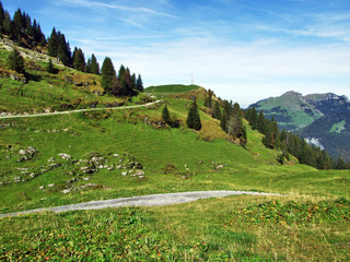 Autumn pastures and hills on the plateau beneath the mountain ranges Churfirsten - Canton of St....