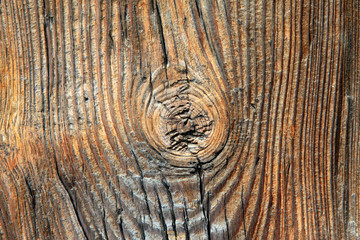 Woodiness grain