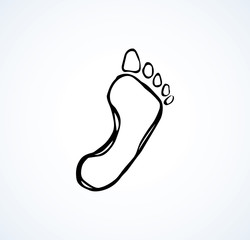 Foot. Vector drawing