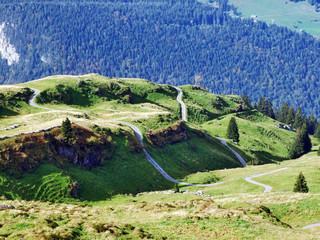Autumn pastures and hills on the plateau beneath the mountain ranges Churfirsten - Canton of St....