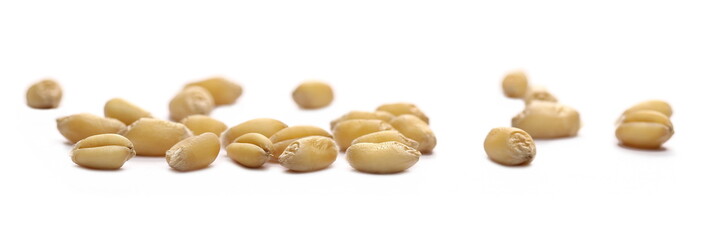 Wheat grains, kernels isolated on white background