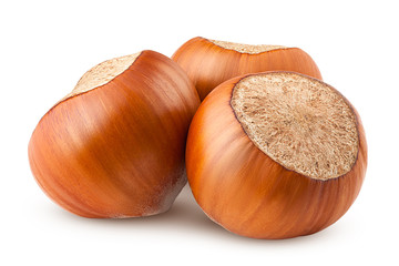 hazelnut isolated on white background, clipping path, full depth of field