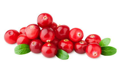 cranberry isolated on white background, clipping path, full depth of field
