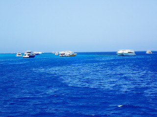boat in the Egyptian sea