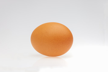 Oeuf de poule