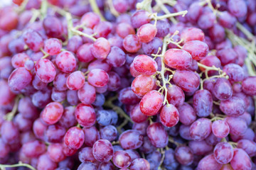 Fresh red grapes for sale in the local market.