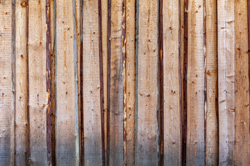 Rough fence made of pine planks.