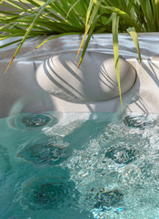 hot tub with decorative plants evoking a calm and relaxed atmosphere
