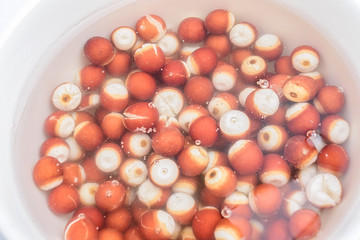 Chinese medicine health soup background material/Tamping