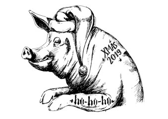 funny new year pig