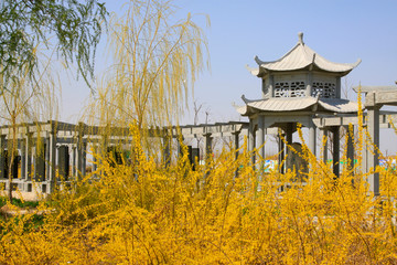 pavilion in the park